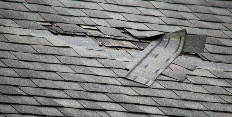 damaged shingles